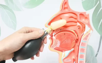 CFR: Técnicas quiroprácticas avanzadas para mejorar la movilidad craneal 🧠